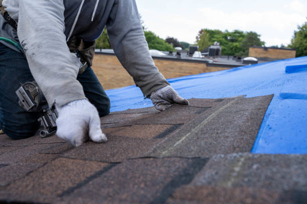 Best Storm Damage Roof Repair  in North Weeki Wachee, FL