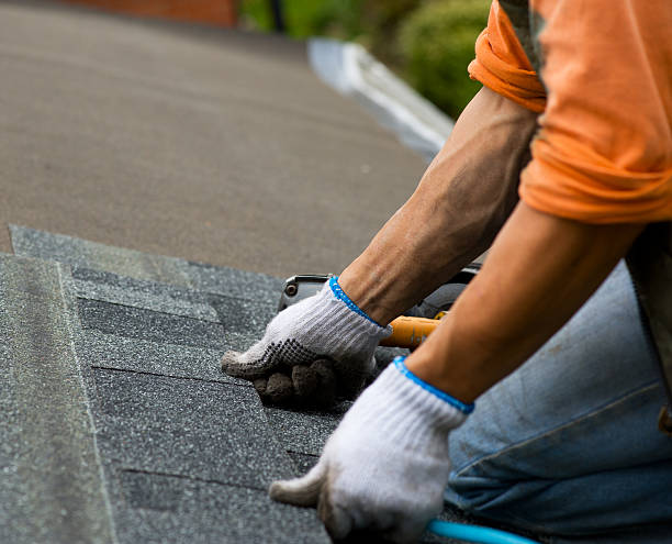 Best Gutter Installation and Roofing  in North Weeki Wachee, FL