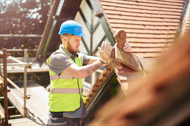 Best Metal Roofing Contractor  in North Weeki Wachee, FL
